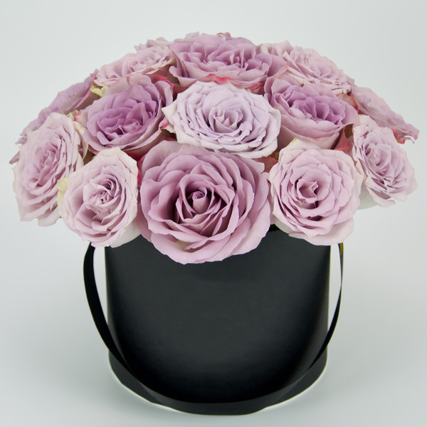 Lavender Roses