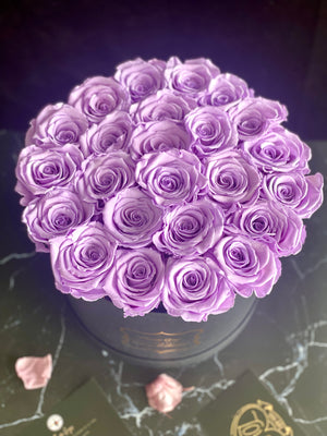Royal Lavender Blooms