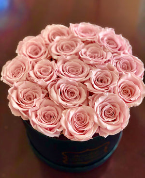 Pretty in Pink Blooms